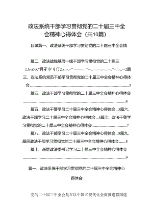 政法系统干部学习贯彻党的二十届三中全会精神心得体会10篇供参考.docx