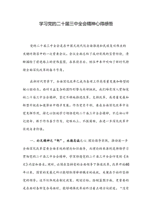 学习党的二十届三中全会精神心得感悟.docx