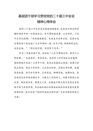 基层团干部学习贯彻党的二十届三中全会精神心得体会.docx