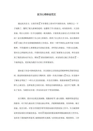 实习心得体会范文.docx