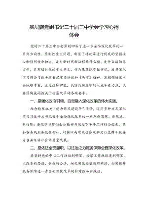 基层院党组书记二十届三中全会学习心得体会.docx