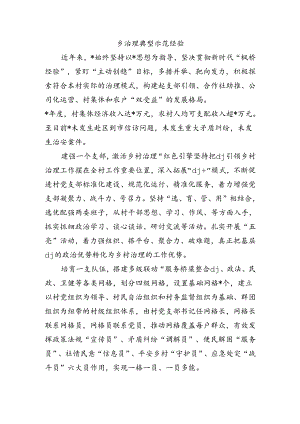 乡治理典型示范经验.docx