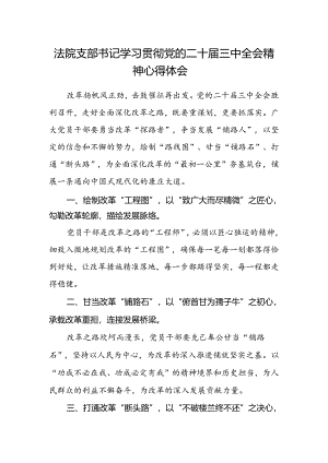 法院支部书记学习贯彻党的二十届三中全会精神心得体会.docx