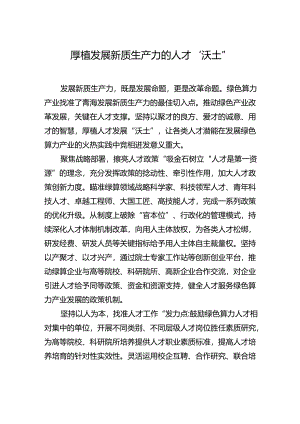 【人才】厚植发展新质生产力的人才“沃土”.docx