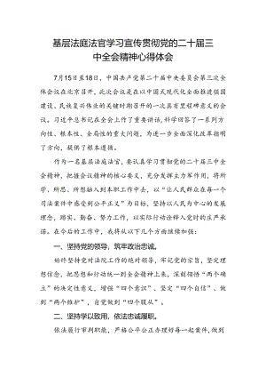 基层法庭法官学习宣传贯彻党的二十届三中全会精神心得体会.docx