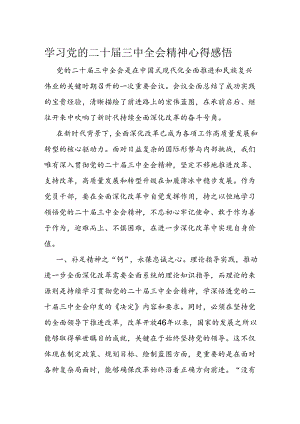 学习党的二十届三中全会精神心得感悟(5).docx
