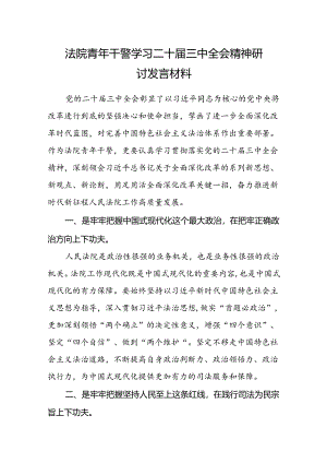 法院青年干警学习二十届三中全会精神研讨发言材料.docx