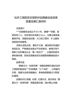 钻井工程院党支部抓好品牌建设促进高质量发展汇报材料.docx