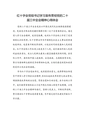 红十字会党组书记学习宣传贯彻党的二十届三中全会精神心得体会.docx