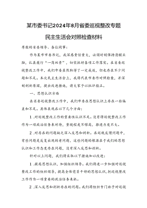某市委书记2024年8月省委巡视整改专题民主生活会对照检查材料.docx
