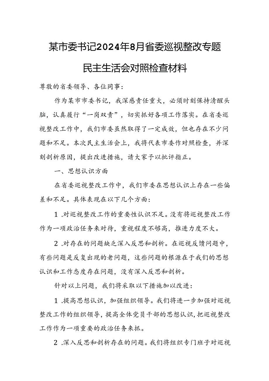 某市委书记2024年8月省委巡视整改专题民主生活会对照检查材料.docx_第1页