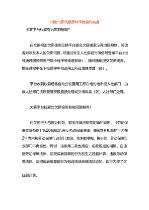 根治欠薪线索反映平台操作实务.docx