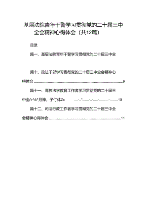 基层法院青年干警学习贯彻党的二十届三中全会精神心得体会(12篇集合).docx