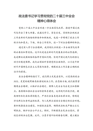 政法委书记学习贯彻党的二十届三中全会精神心得体会.docx