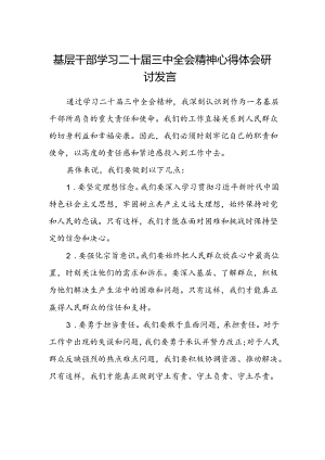 基层干部学习二十届三中全会精神心得体会研讨发言范文.docx