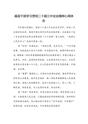 基层干部学习贯彻二十届三中全会精神心得体会.docx