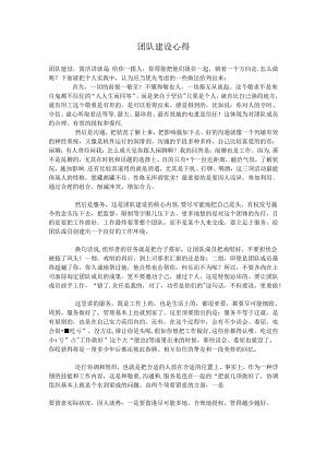 团队建设心得体会.docx