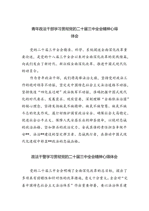 青年政法干部学习贯彻党的二十届三中全会精神心得体会（共8篇）.docx
