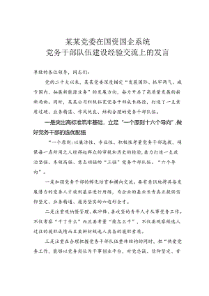 某某党委在国资国企系统党务干部队伍建设经验交流上的发言.docx