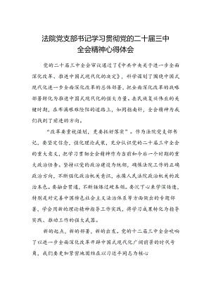法院党支部书记学习贯彻党的二十届三中全会精神心得体会.docx
