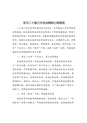 学习二十届三中全会精神心得感悟.docx