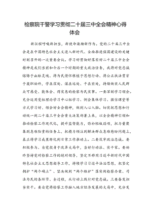 检察院干警学习贯彻二十届三中全会精神心得体会.docx
