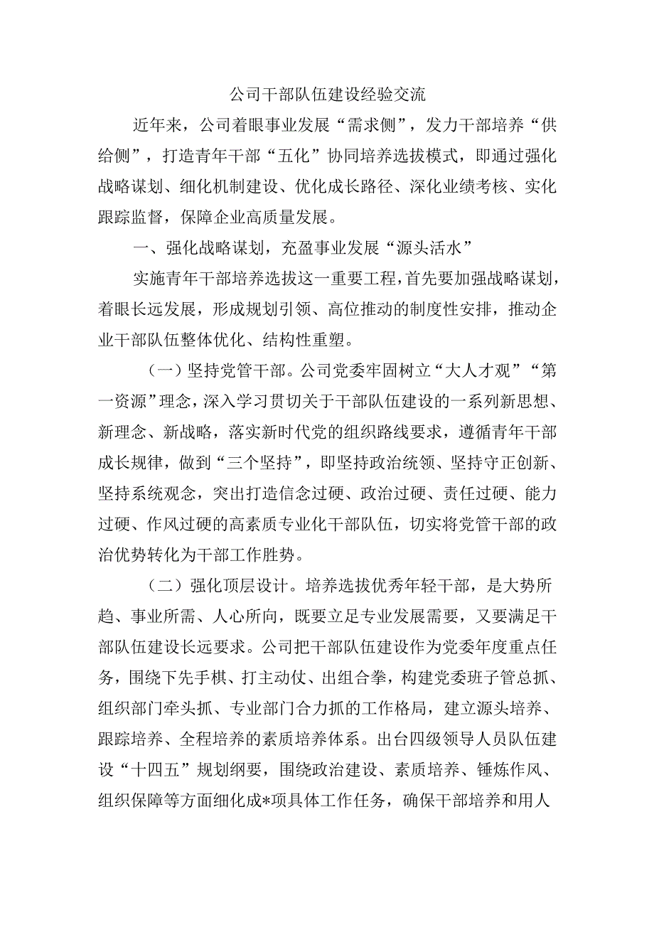 公司干部队伍建设经验交流.docx_第1页