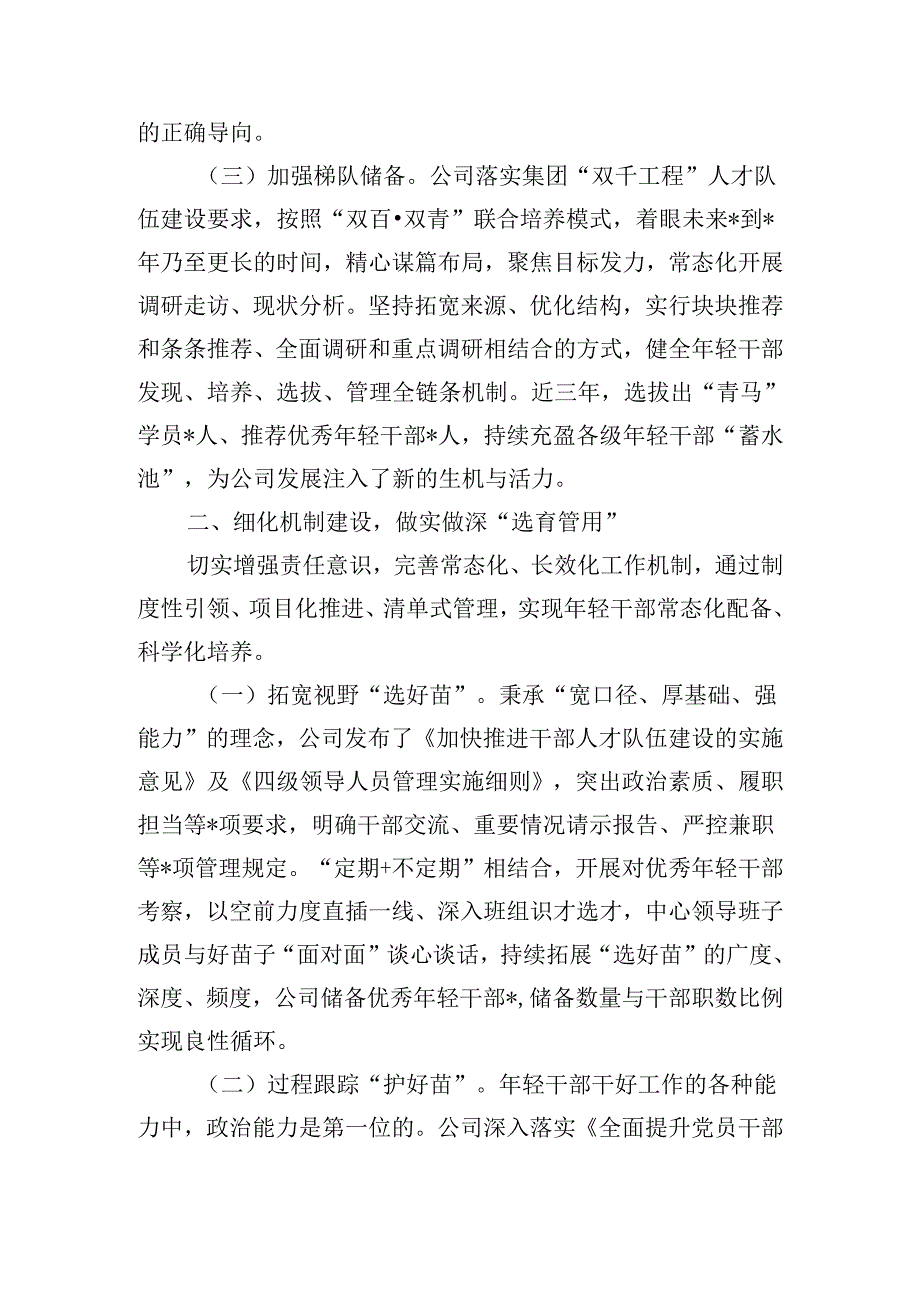 公司干部队伍建设经验交流.docx_第2页