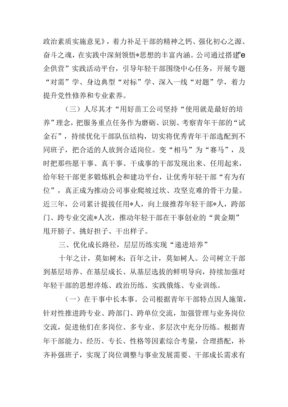 公司干部队伍建设经验交流.docx_第3页