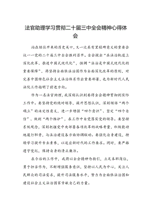 法官助理学习贯彻二十届三中全会精神心得体会范文.docx