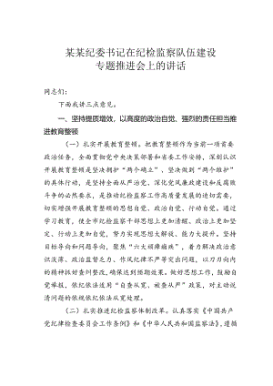 某某纪委书记在纪检监察队伍建设专题推进会上的讲话.docx