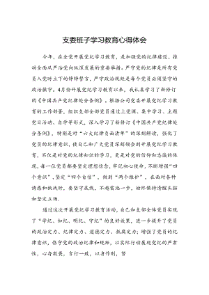 支委班子学习教育心得体会.docx