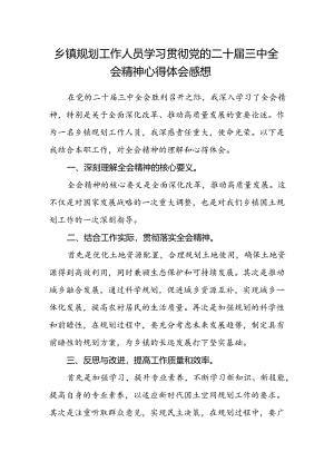 乡镇规划工作人员学习贯彻党的二十届三中全会精神心得体会感想.docx