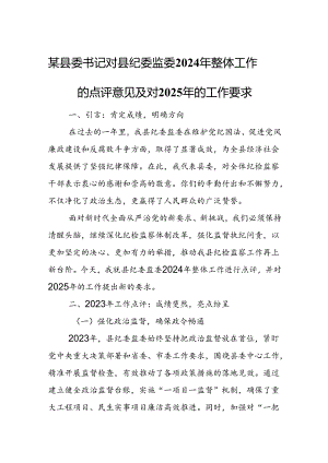 某县委书记对县纪委监委2024年整体工作的点评意见及对2025年的工作要求.docx