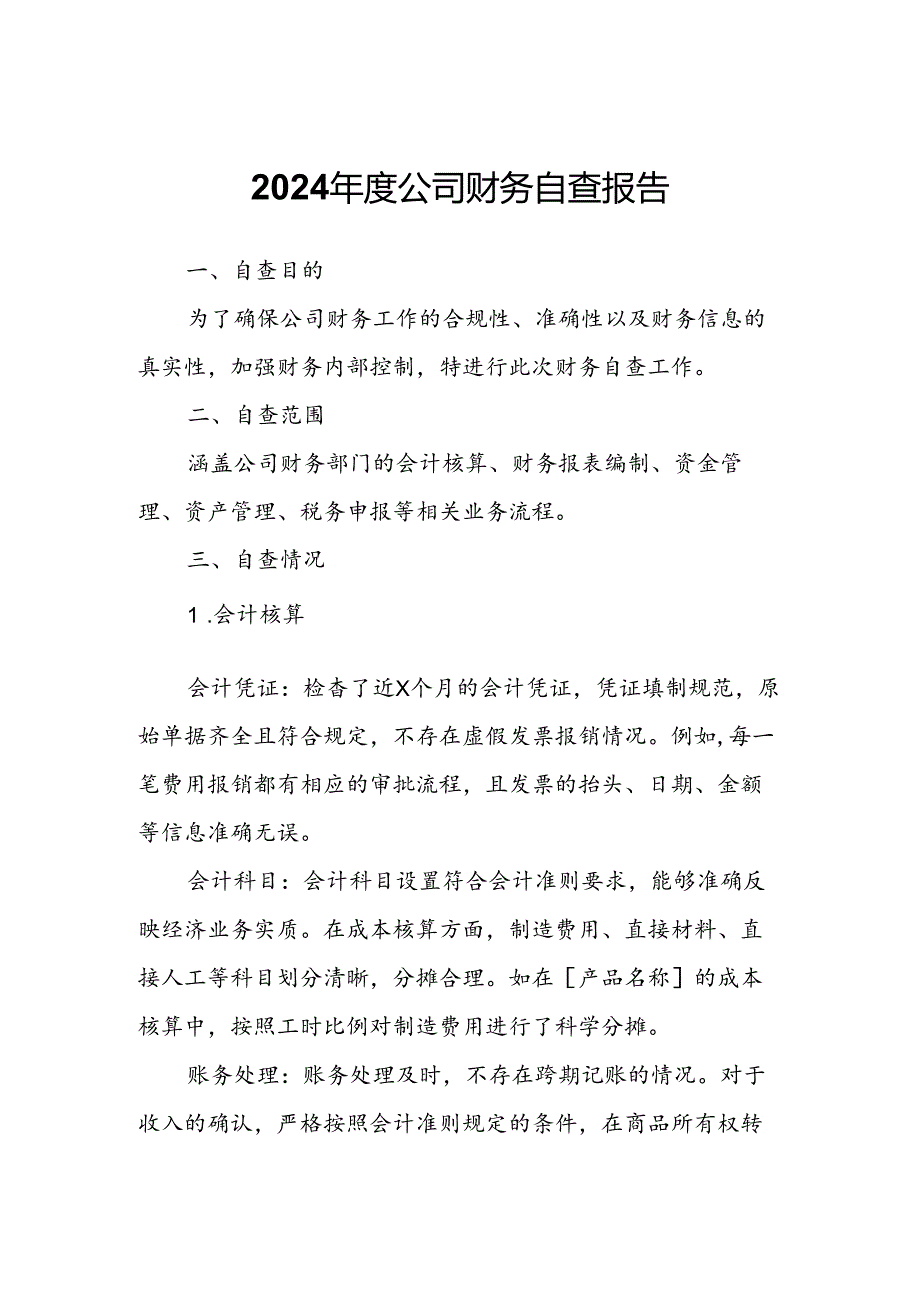 2024年度公司财务自查报告.docx_第1页