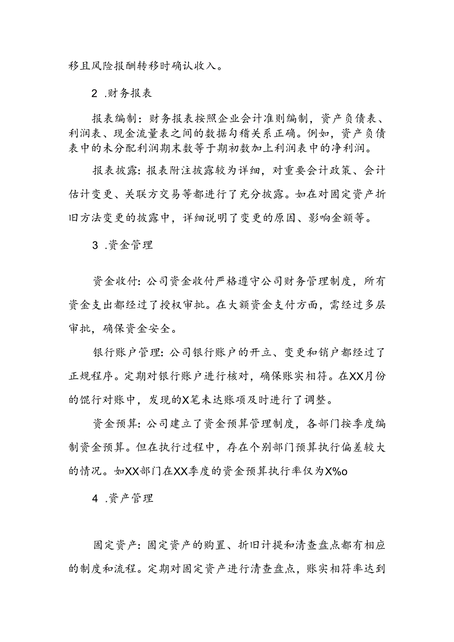 2024年度公司财务自查报告.docx_第2页