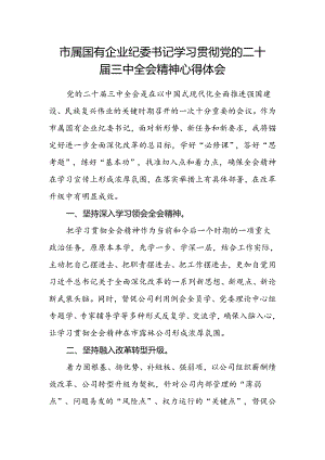 市属国有企业纪委书记学习贯彻党的二十届三中全会精神心得体会.docx