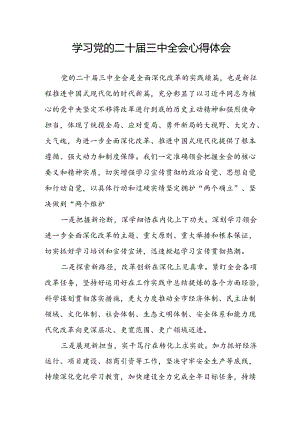 学习2024年学习党的二十届三中全会个人心得感悟 （3份）_51.docx