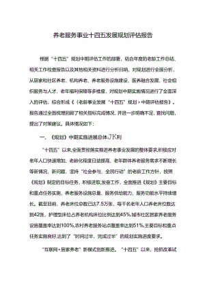 养老服务事业十四五发展规划评估报告.docx