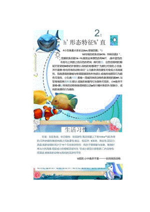 手抄小报可爱的小丑鱼2.docx