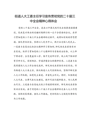 街道人大工委主任学习宣传贯彻党的二十届三中全会精神心得体会.docx