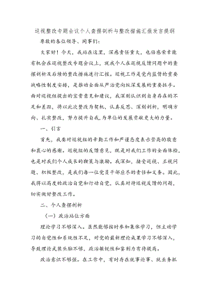 巡视整改专题会议个人查摆剖析与整改措施汇报发言提纲.docx