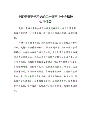 乡团委书记学习党的二十届三中全会精神心得体会.docx