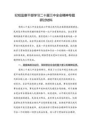 纪检监察干部学习二十届三中全会精神专题研讨材料.docx