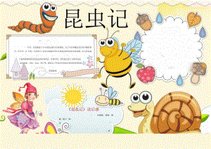 手抄小报昆虫小报5.docx