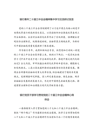 银行青年二十届三中全会精神集中学习交流研讨发言5篇（详细版）.docx