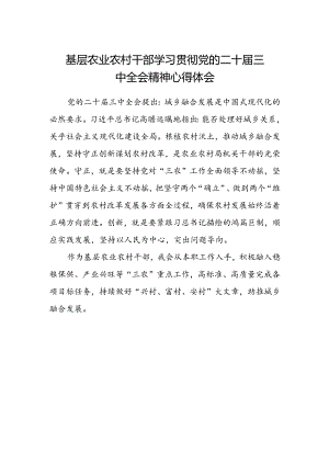 基层农业农村干部学习贯彻党的二十届三中全会精神心得体会.docx