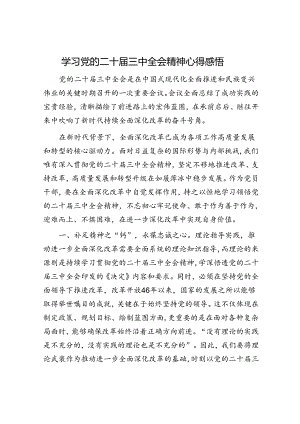 学习党的二十届三中全会精神心得感悟(4).docx