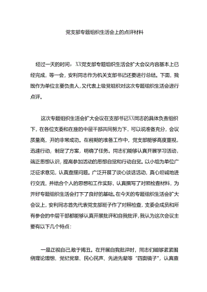 党支部专题组织生活会上的点评材料.docx