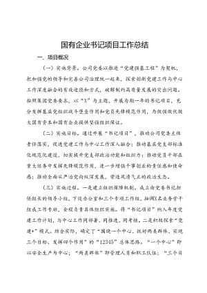 国有企业书记项目工作总结.docx